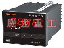 溫度表、數(shù)字顯示儀、濕度表